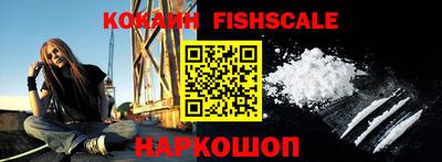 крисы Аргун