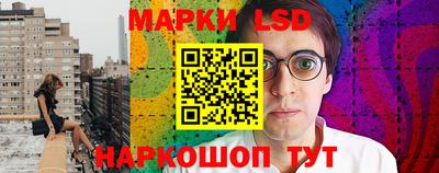 крисы Аргун