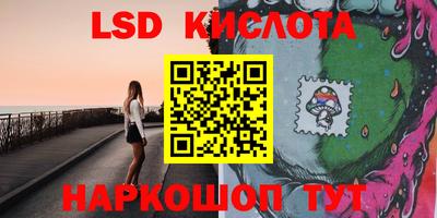 крисы Аргун