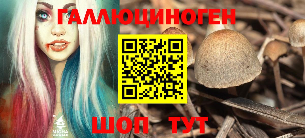Галлюциногенные грибы прущие грибы Гай