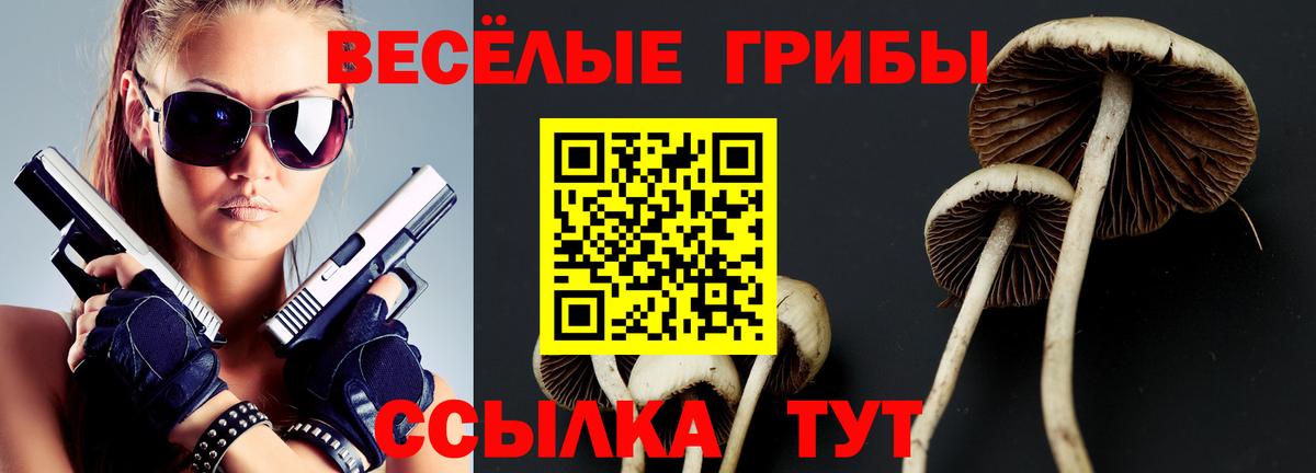 Гай  Псилоцибиновые грибы GOLDEN TEACHER  Вход с VPN 